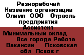 Разнорабочий › Название организации ­ Олимп, ООО › Отрасль предприятия ­ Ассистент › Минимальный оклад ­ 25 000 - Все города Работа » Вакансии   . Псковская обл.,Псков г.